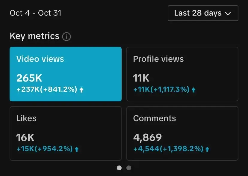 Statistiky TikToku za 28 dní: 265 tisíc zhlédnutí videí, 11 tisíc zobrazení profilu, 16 tisíc lajků a 4 869 komentářů